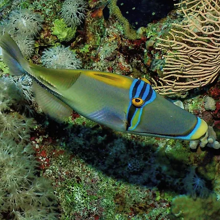 Enosis Apartments - Triton Panoramic Sea View *