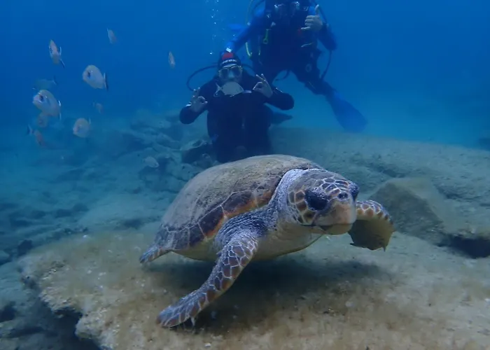 Enosis - Triton Panoramic Sea View * Agia Anna (Naxos)