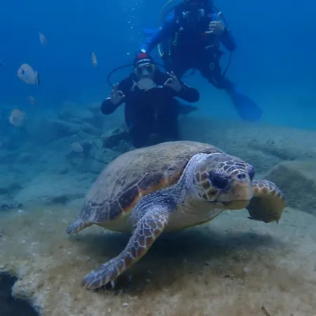 Enosis Apartments - Triton Panoramic Sea View * Agia Anna (Naxos)